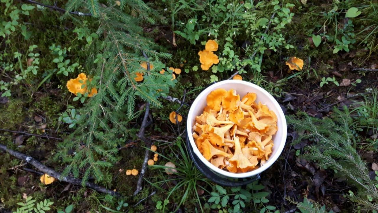 Kujanpaeae | Paajoen Vuokramoekit Hotel Himos Buitenkant foto