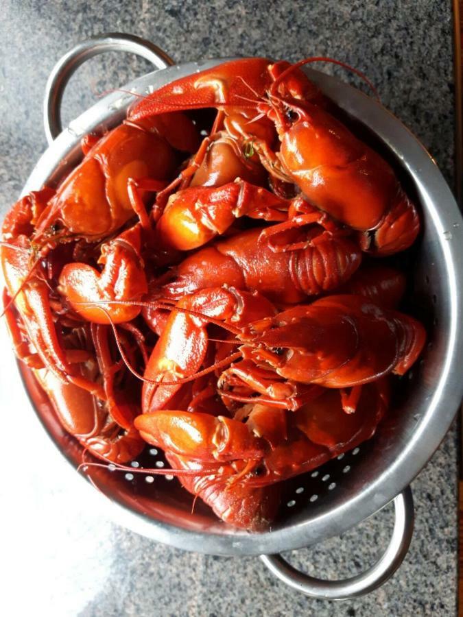 Kujanpaeae | Paajoen Vuokramoekit Hotel Himos Buitenkant foto